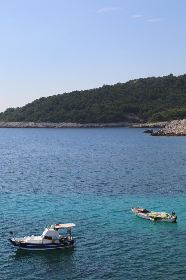 Dragica Appartement *